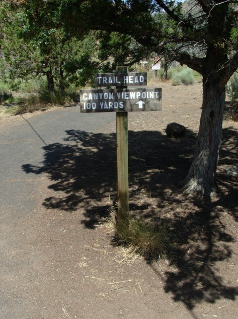 Summer '06 Sunriver 378 